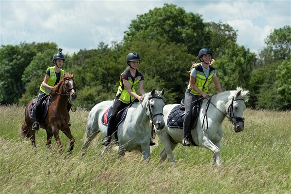 Hatfield Forest Ride